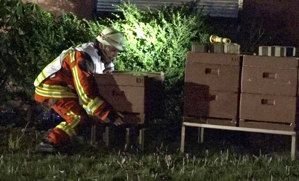 Großbrand im Norden – Feuerwehr rettet Bienenvölker