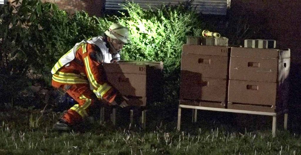 Großbrand im Norden – Feuerwehr rettet Bienenvölker