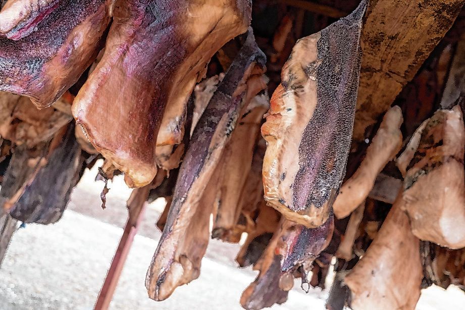 Platz 1: Die isländische Spezialität Hákarl – fermentiertes Haifisch-Fleisch, das bestialisch stinkt