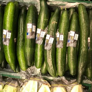 Gurken Regal Supermarkt