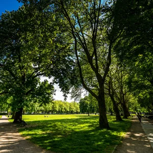 Moorweide in Hamburg