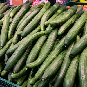 Gurken in einem Supermarkt.