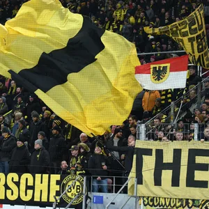 Beim Auswärtsspiel des BVB in Mainz ist es seitens einiger Ultras zu schockierenden Vorfällen gekommen.
