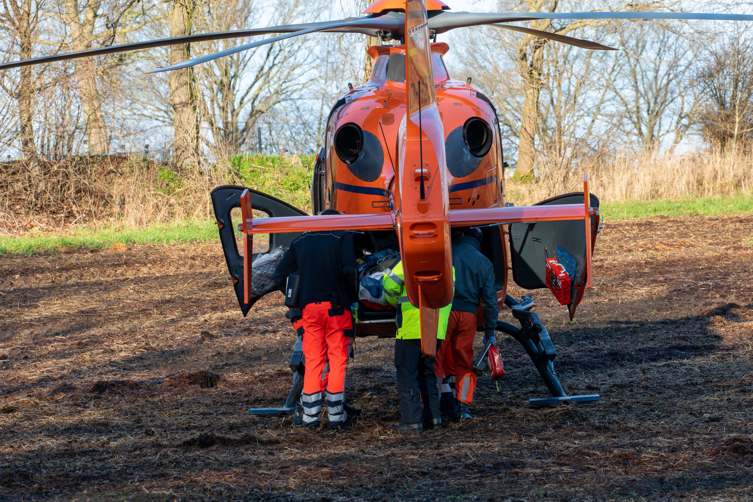 Mann und Kind bei Baumfällarbeiten in Elmenhorst schwer verletzt