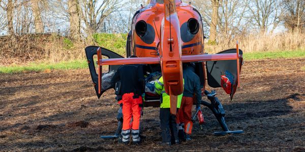 Mann und Kind bei Baumfällarbeiten in Elmenhorst schwer verletzt