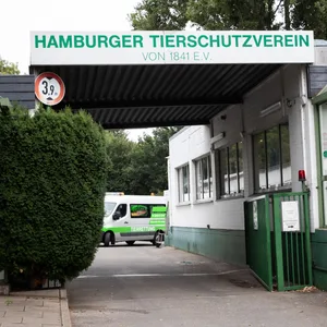 Ansicht der Einfahrt und des Haupteingangs zum Tierheim an der Süderstraße.