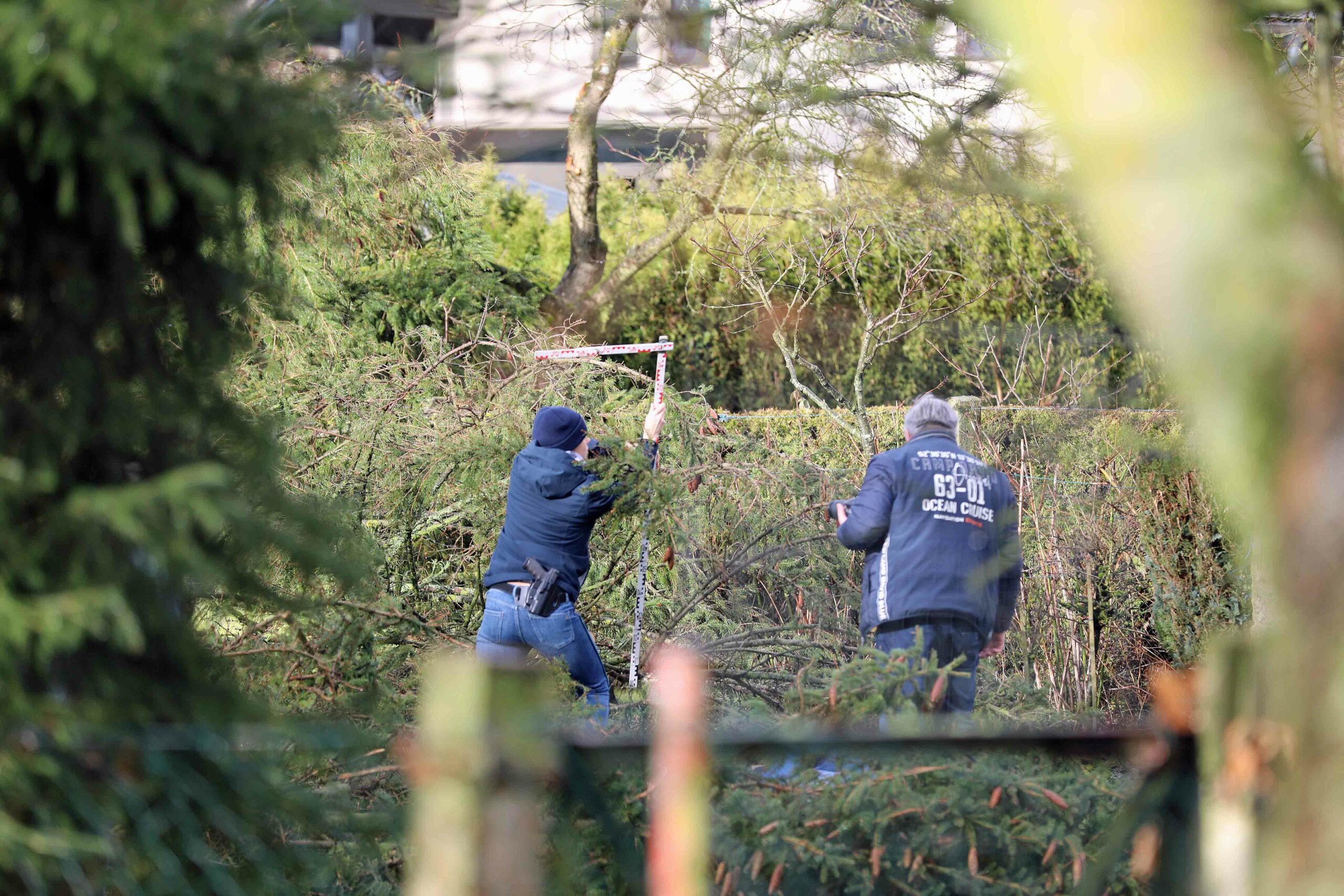 Polizisten untersuchen den Unglücksort in Sanitz; ein Mann wurde hier von einem Baum erschlagen.