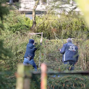 Polizisten untersuchen den Unglücksort in Sanitz; ein Mann wurde hier von einem Baum erschlagen.