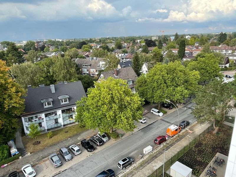 So sah die Straße vor den Fällungen aus.