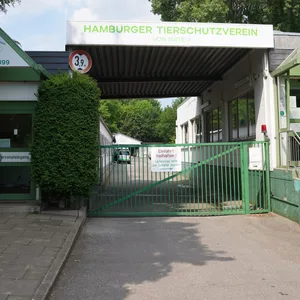 Tierheim Süderstraße: Der Hamburger Tierschutzverein will den Vertrag mit der Stadt kündigen.