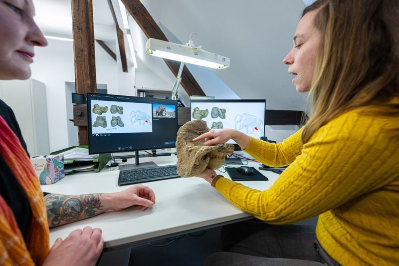 Die Knochen des Wollhaar-Mammuts sind mindestens 15.000 Jahre alt.
