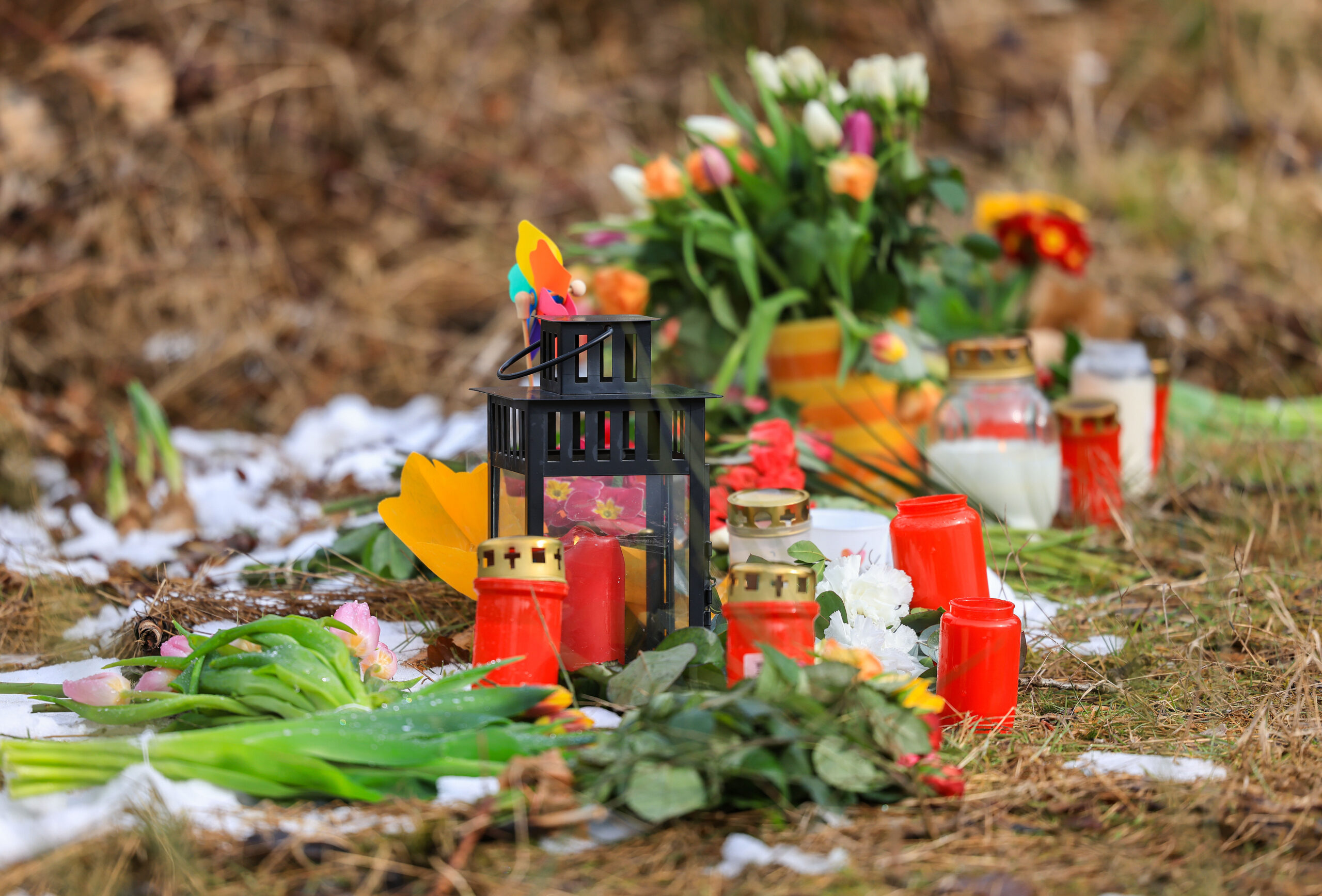 Kerzen und Blumen liegen in einem Wald im südlichen Nordrhein-Westfalen, unweit des Tatorts.