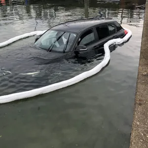 Auto im Hafenbecken von Heikendorf