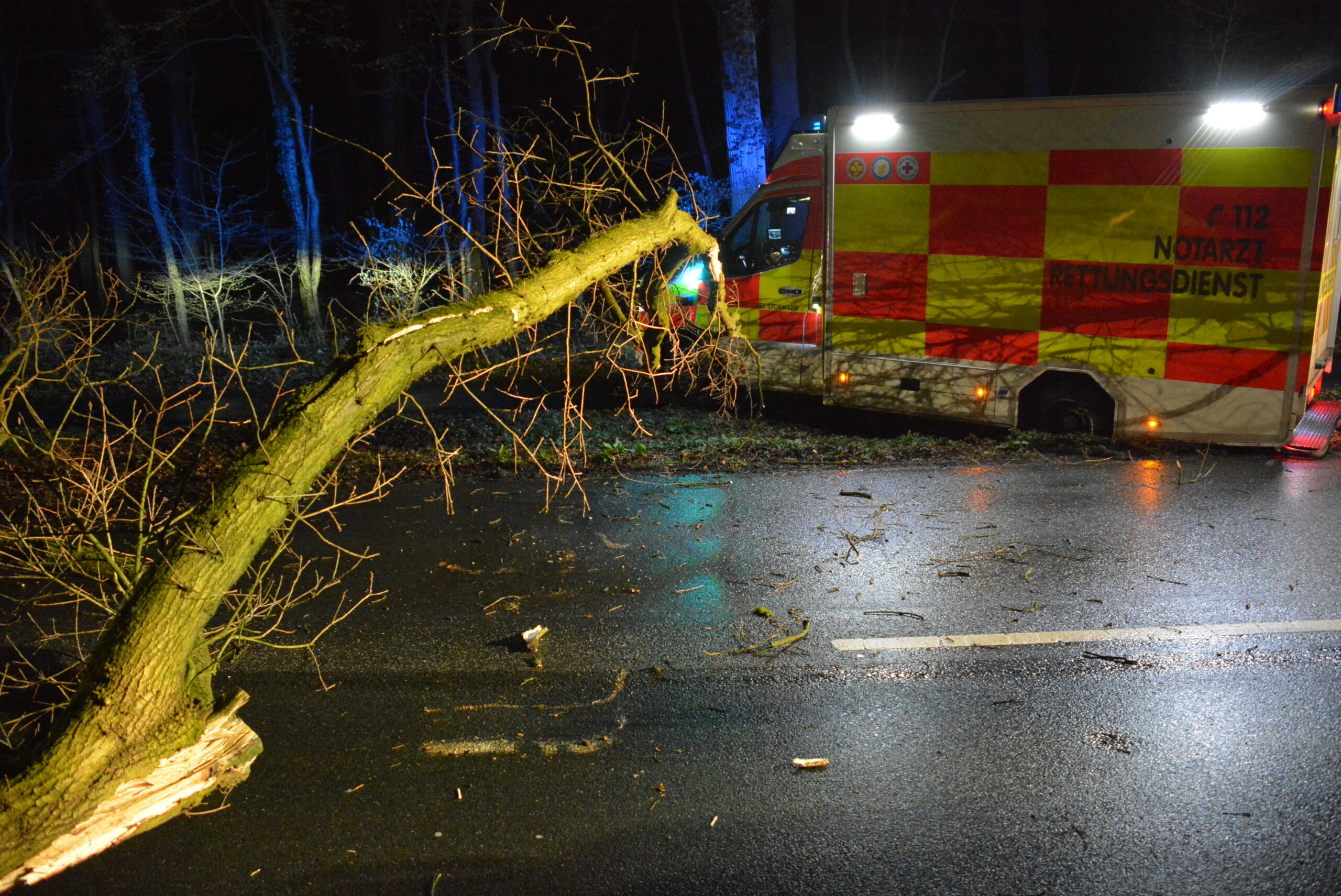 Glinde: Baum stürzt auf Rettungswagen