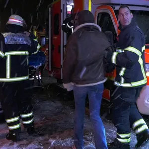 Bei Techno-Party: Baum stürtzt um und verletzt seche Gäste