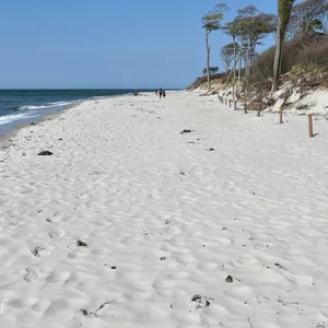 Der Darßer Weststrand wurde schon oft zu einem der schönsten Strände Europas gekürt.