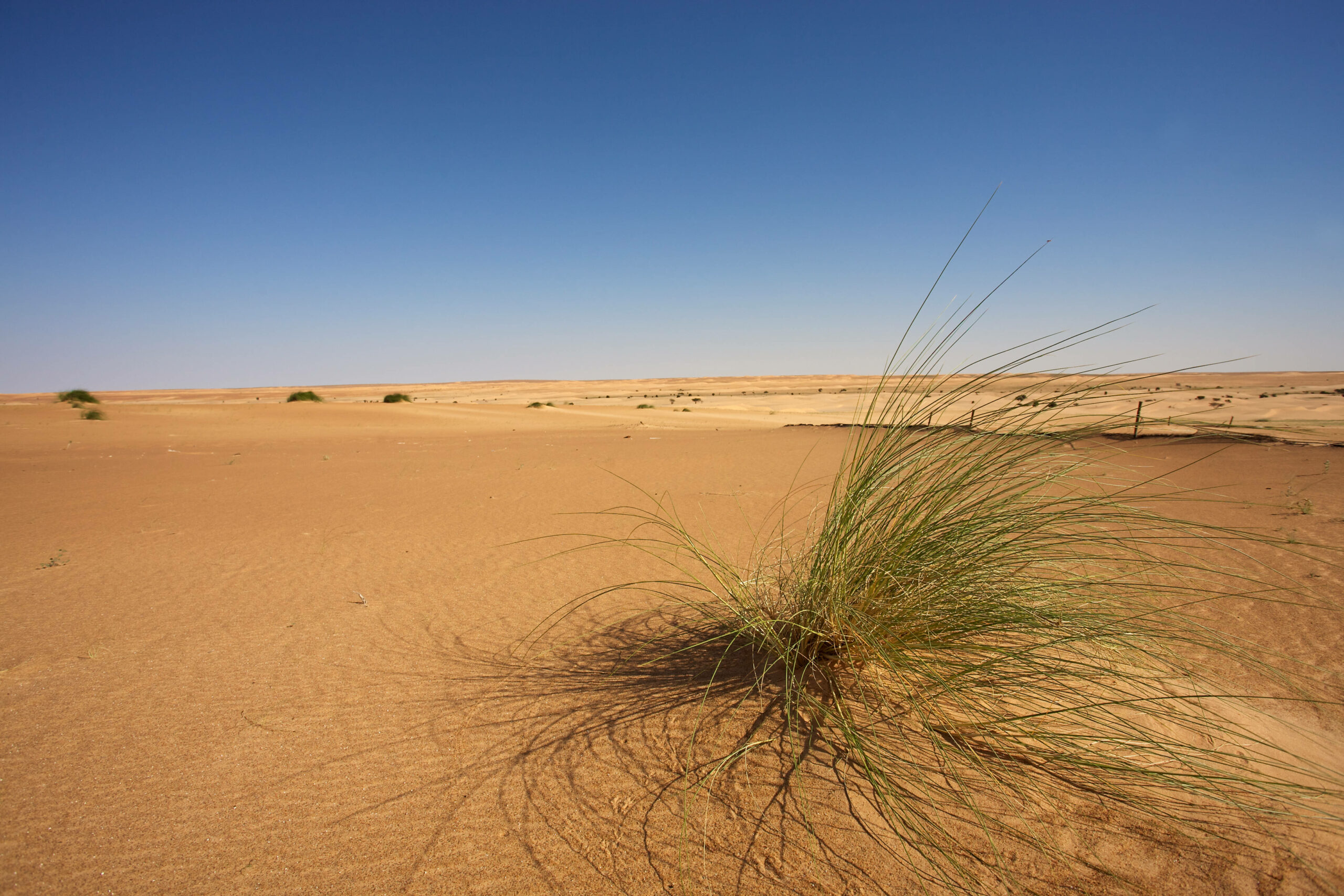 Im nordwestafrikanischen Mauretanien soll eine Großanlage zur klimaneutralen Herstellung von Wasserstoff entstehen.