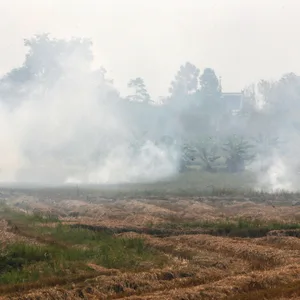 Smog Thailand
