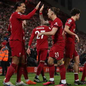 Die Spieler des FC Liverpool bejubeln ein Tor.
