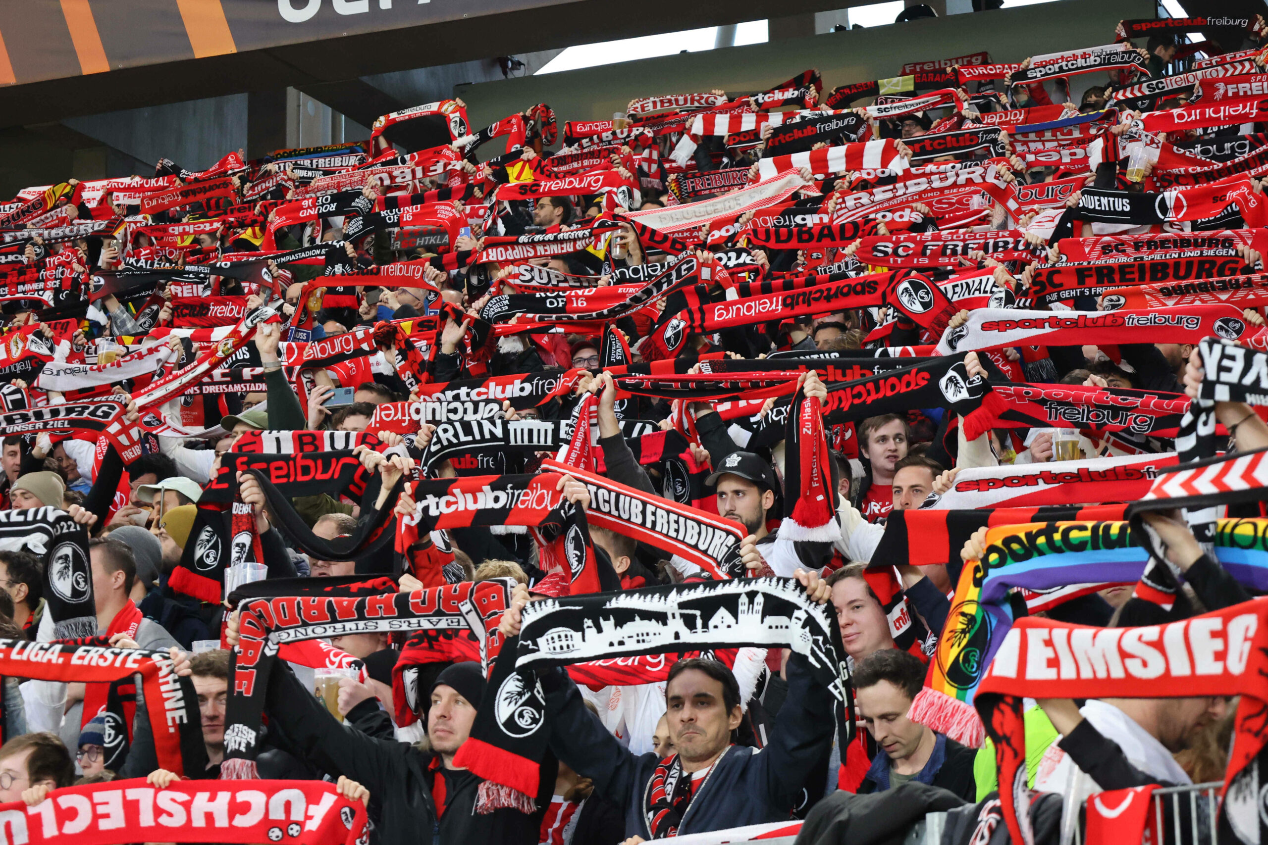 Freiburg-Fans beim Europapokal-Spiel gegen Juventus Turin