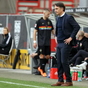 Bruno Labbadia, Trainer VfB Stuttgart
