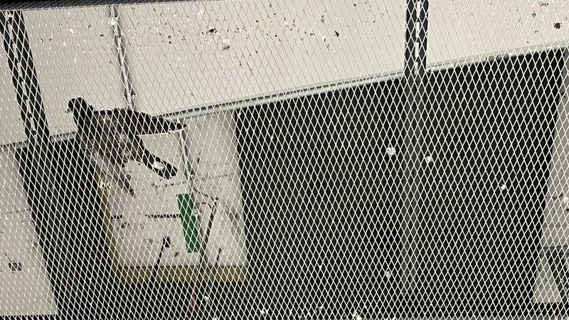Über den Dachgittern der S-Bahn-Stiege in Altona liegen immer mal wieder tote und verwesende Tauben.