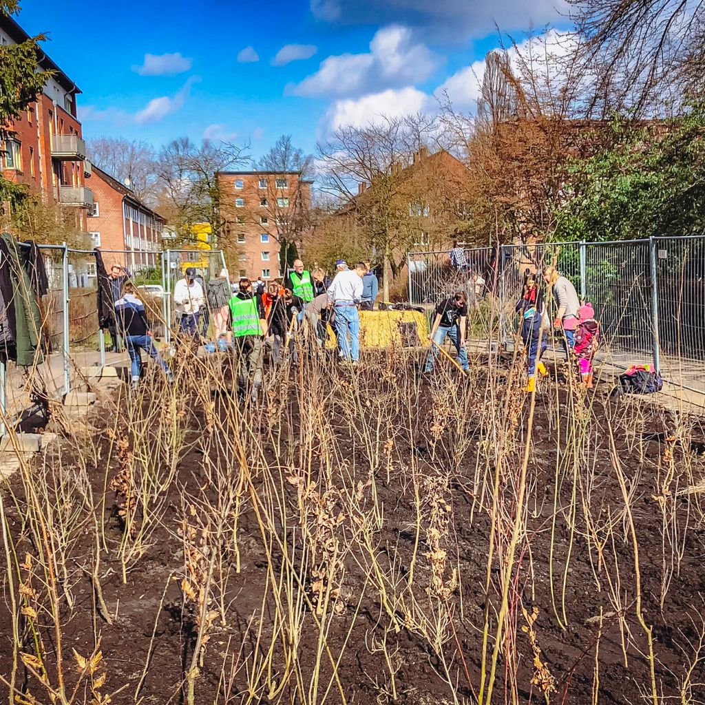 Der kleine Wald am Energiebunker Altona.