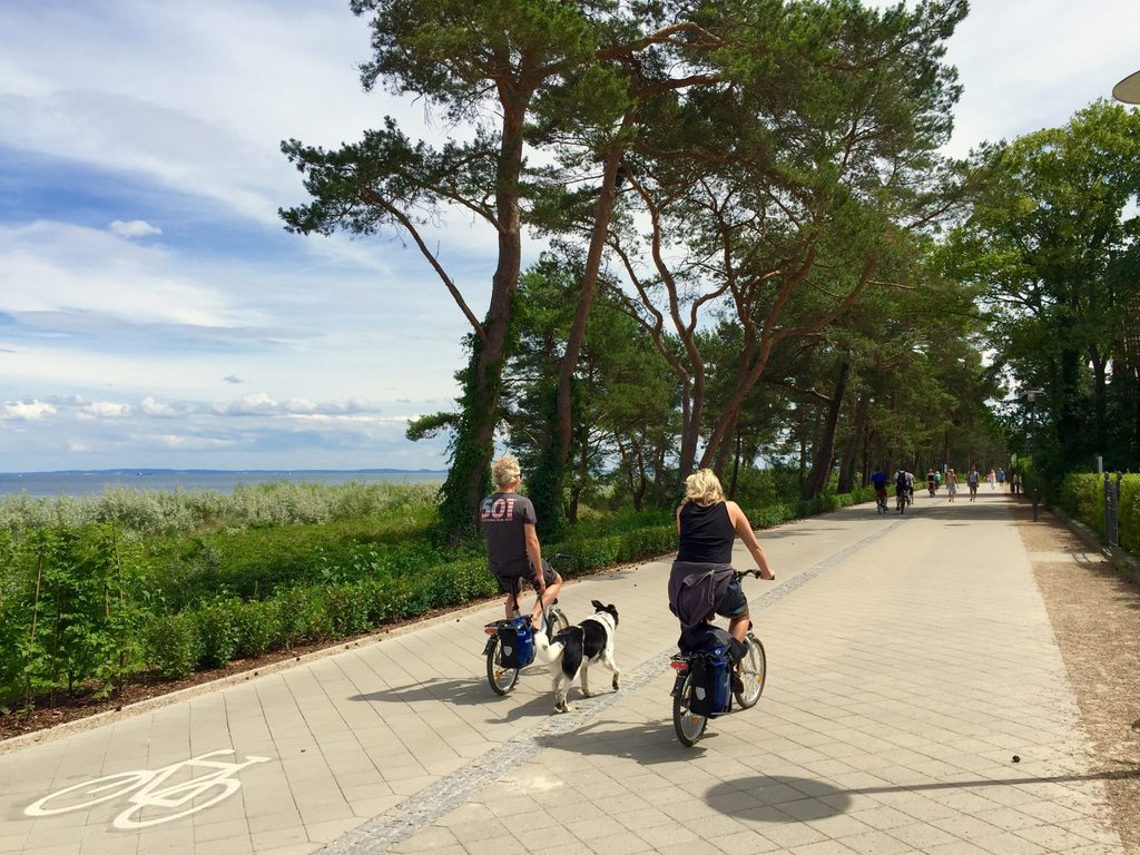 Radweg auf Usedom