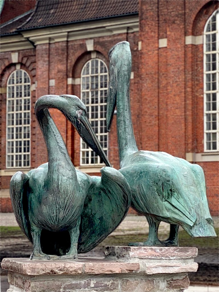 Pelikane