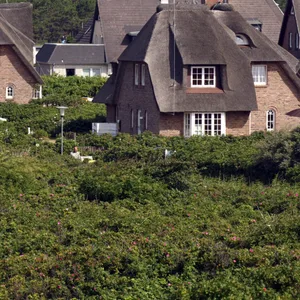 Reetgedeckte Ferienhäuser auf Sylt (Archivbild).