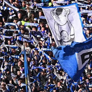 HSV-Fans im Stadion