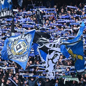 HSV-Fans im Stadion