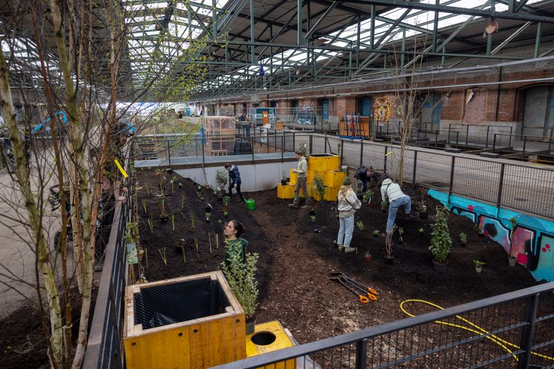 Ehemalige Gleishalle im Oberhafen wird zur grünen Oase