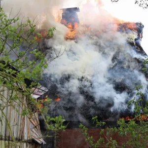 Flammen im Reetdachhaus.