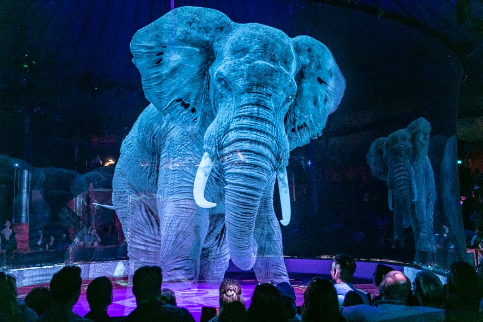 Elefant als Hologramm