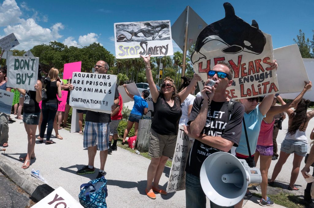 Menschen protestieren vor dem Aqua-Park in Miami.