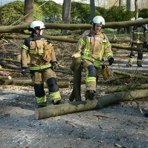 Mann greift Feuerwehrleute bei Einsatz in Wentorf an
