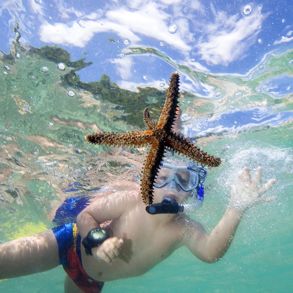 Boy swims with starfish