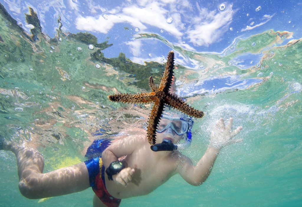 Boy swims with starfish