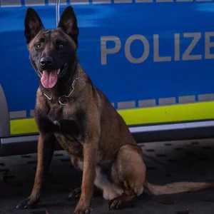 Haix sitzt vor einem Polizeiwagen.