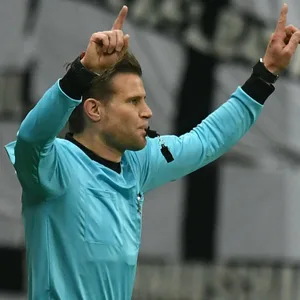 Felix Brych beim Video-Beweis.