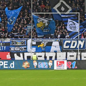 HSV-Fans in Sandhausen