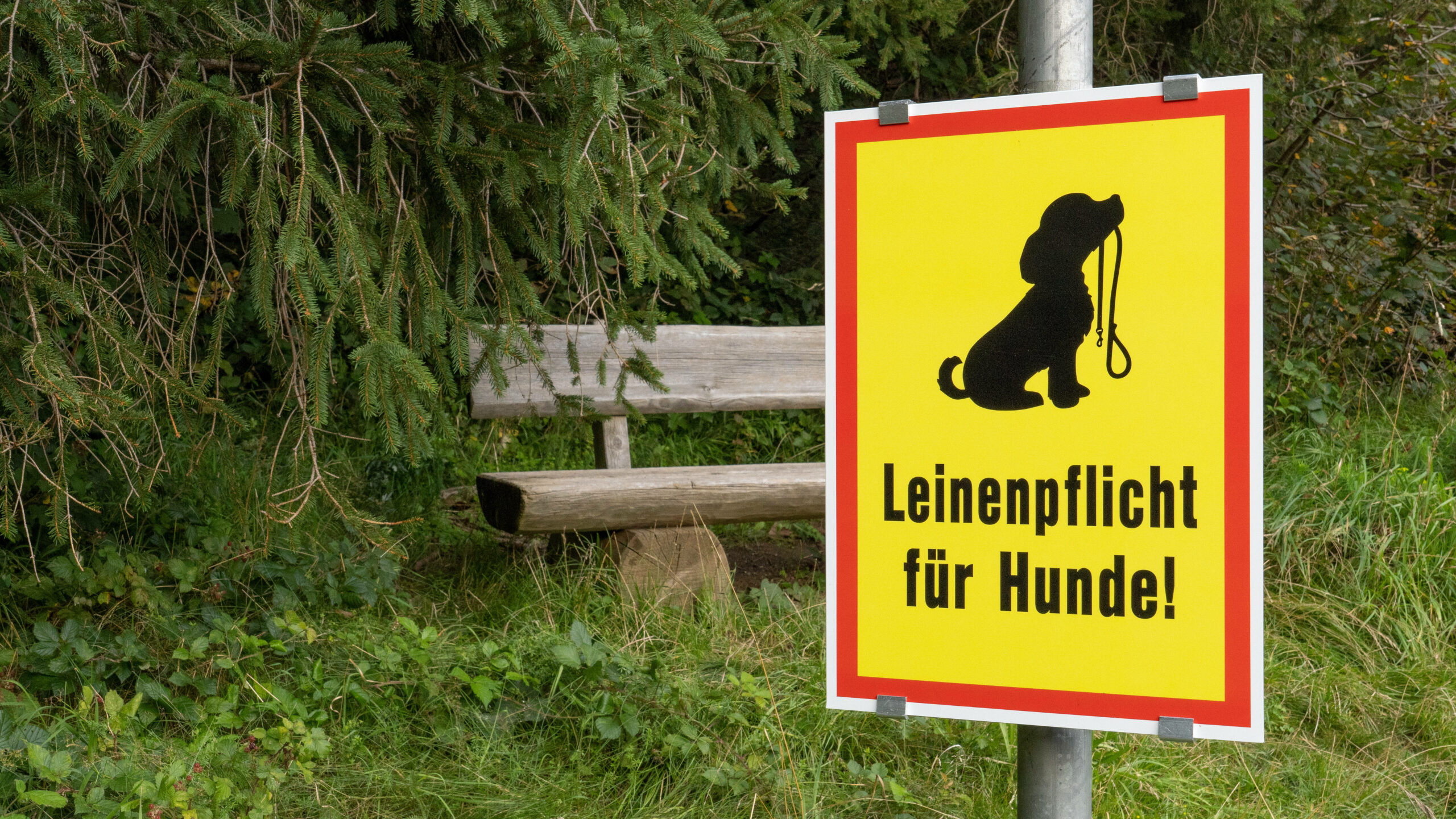 Hinweisschild auf Leinenpflicht im Naturschutzgebiet (Symbolbild).