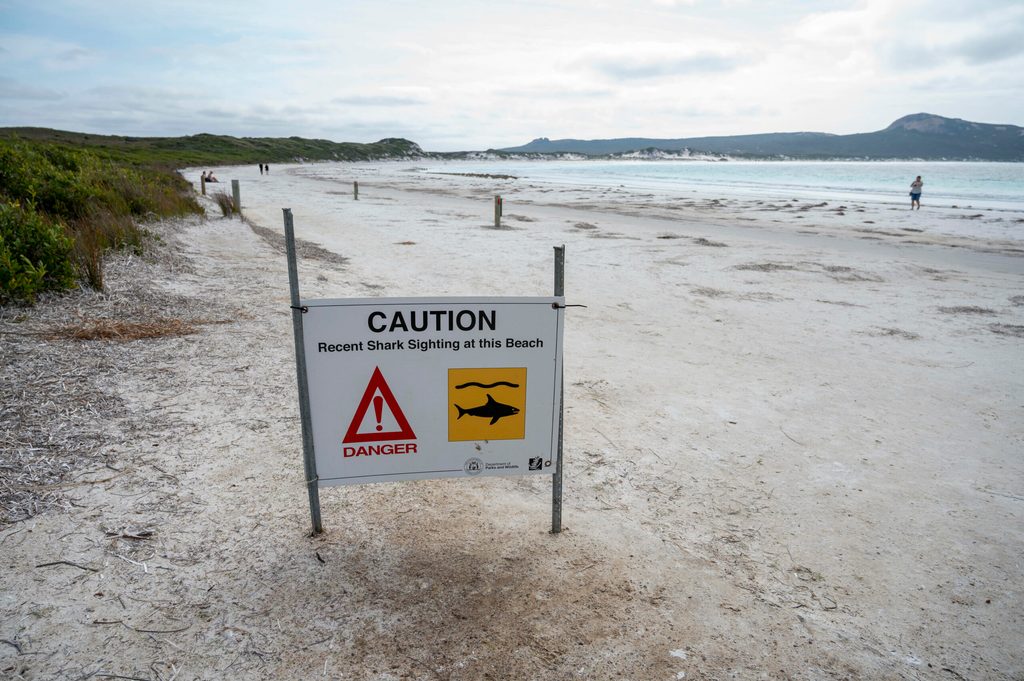 Gesperrter Strand nach Hai-Attacke