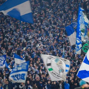Fans des FC Schalke 04