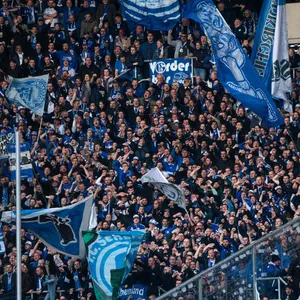 Schalke-Fans im Gästeblock