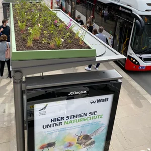 Seit Juni 2021 ist das Dach der Bushaltestelle an der Osterstraße begrünt.