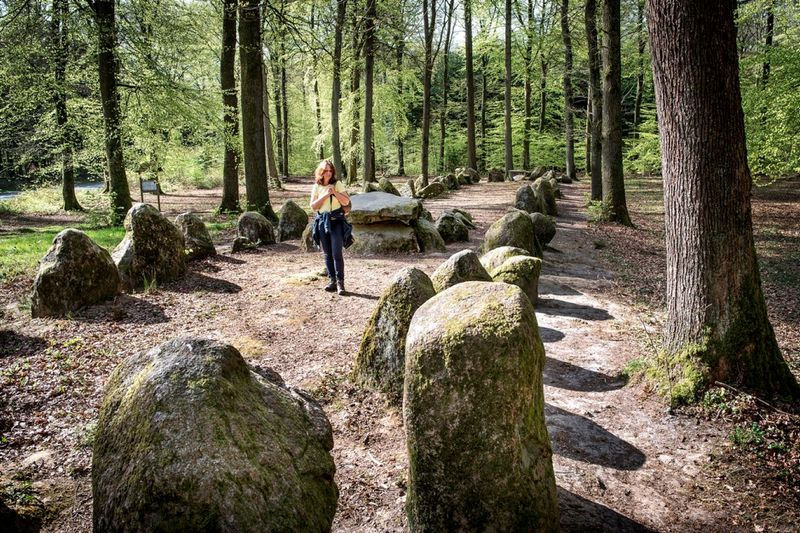 Klecker Wald