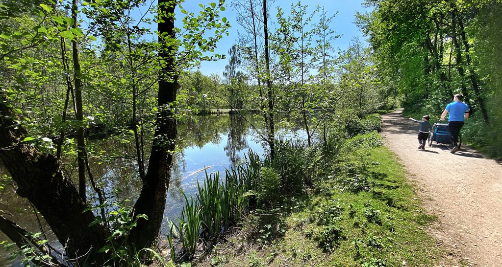 Raakmoor