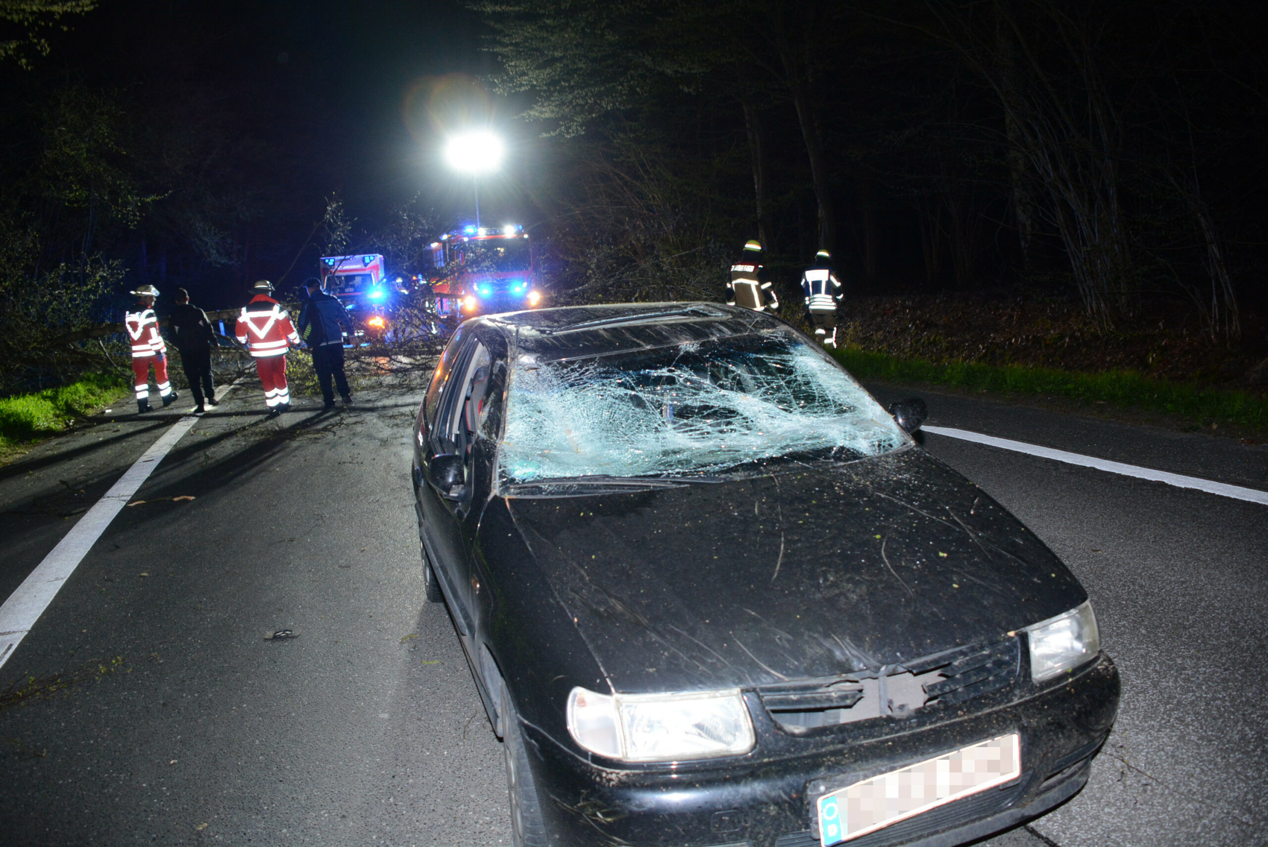 In Reinbek fuhr ein Polo-Fahrer gegen einen umgestürzten Baum.